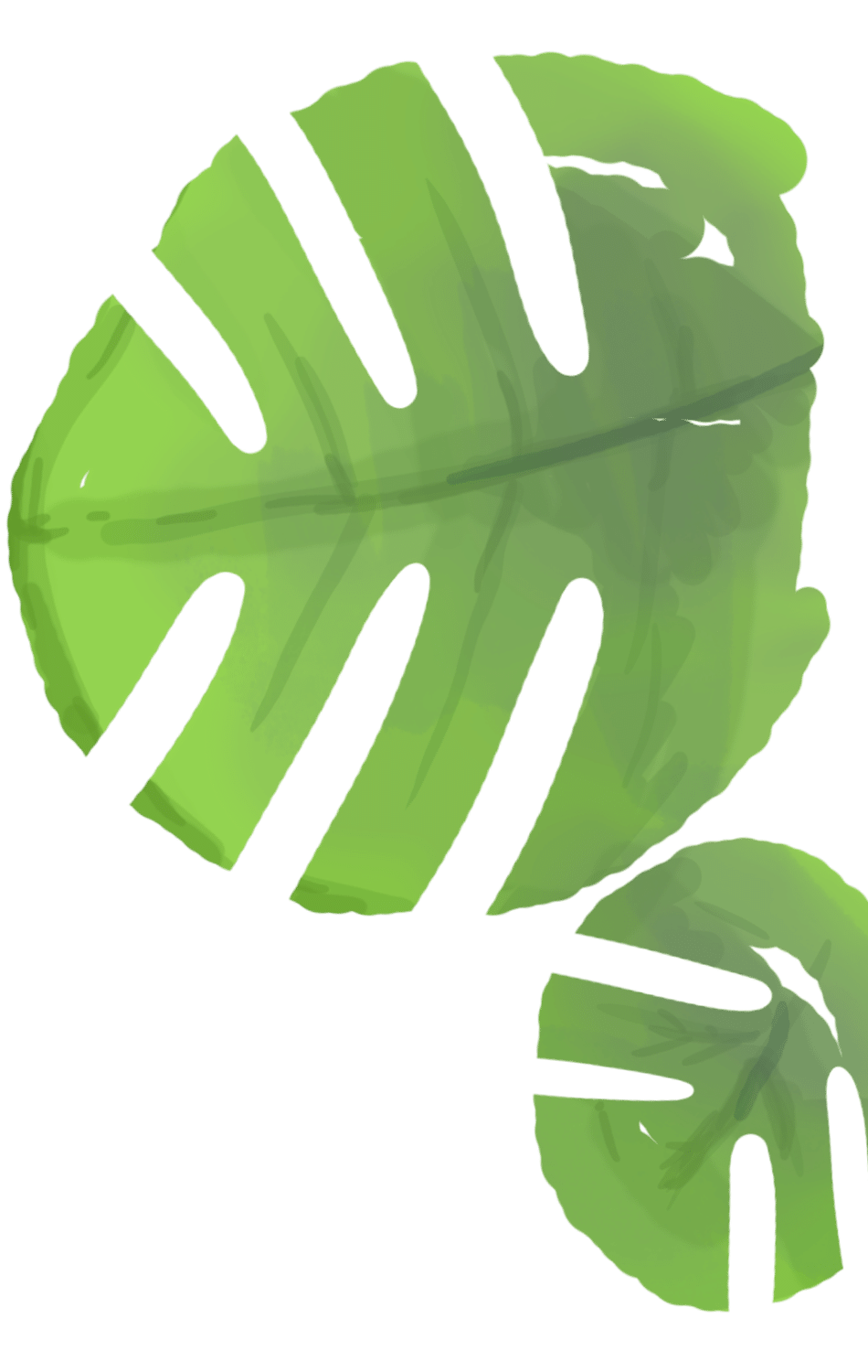 plantjerechts